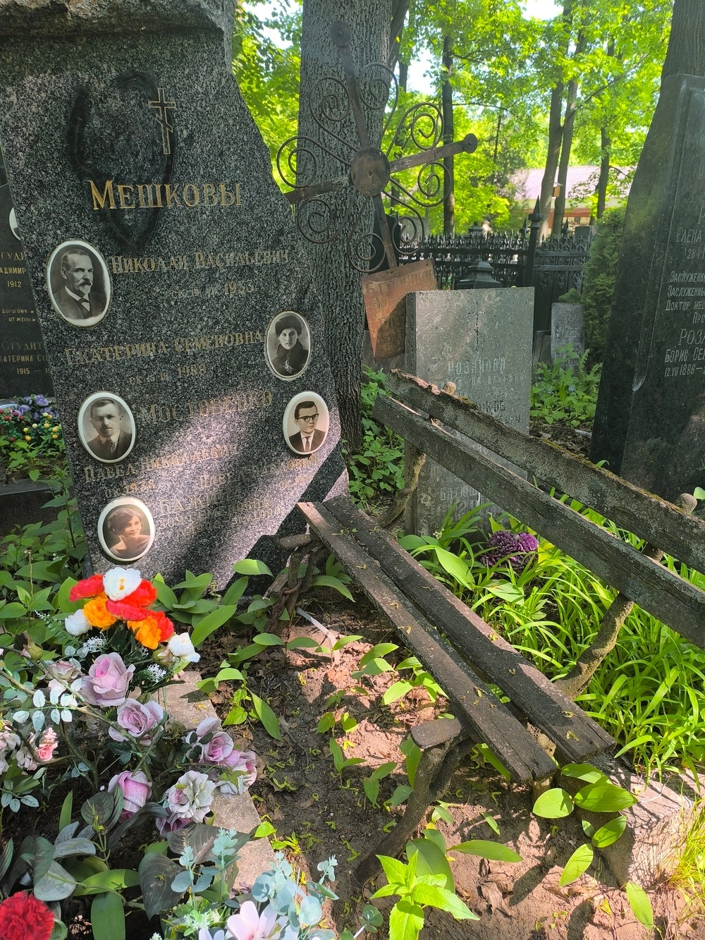 Мешков. Книга Федотовой