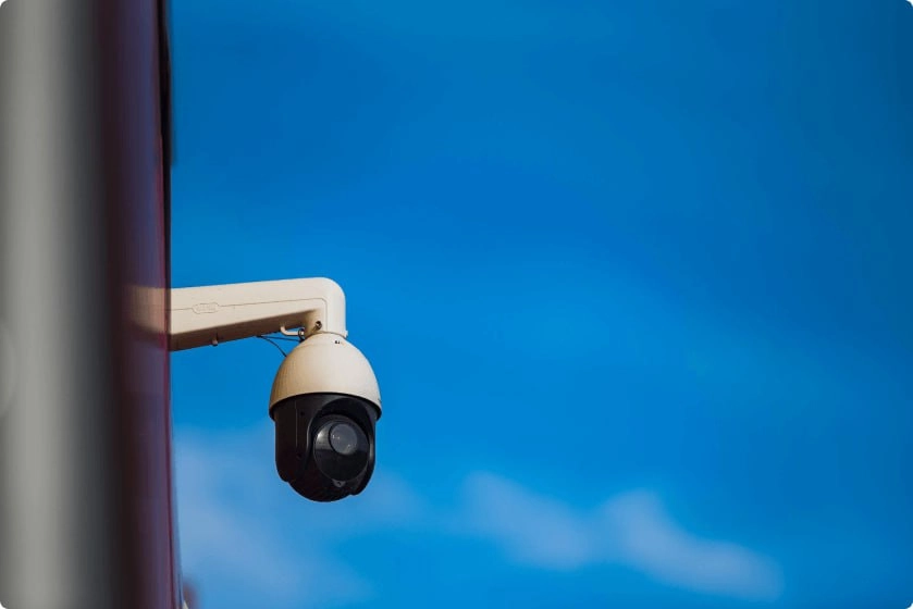 Камеры с 30-кратным увеличением видят действительно всё.