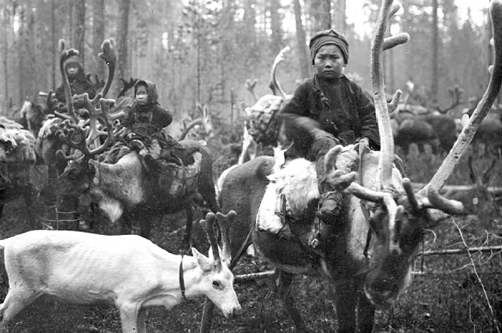 Взрослым помогали дети и подростки.