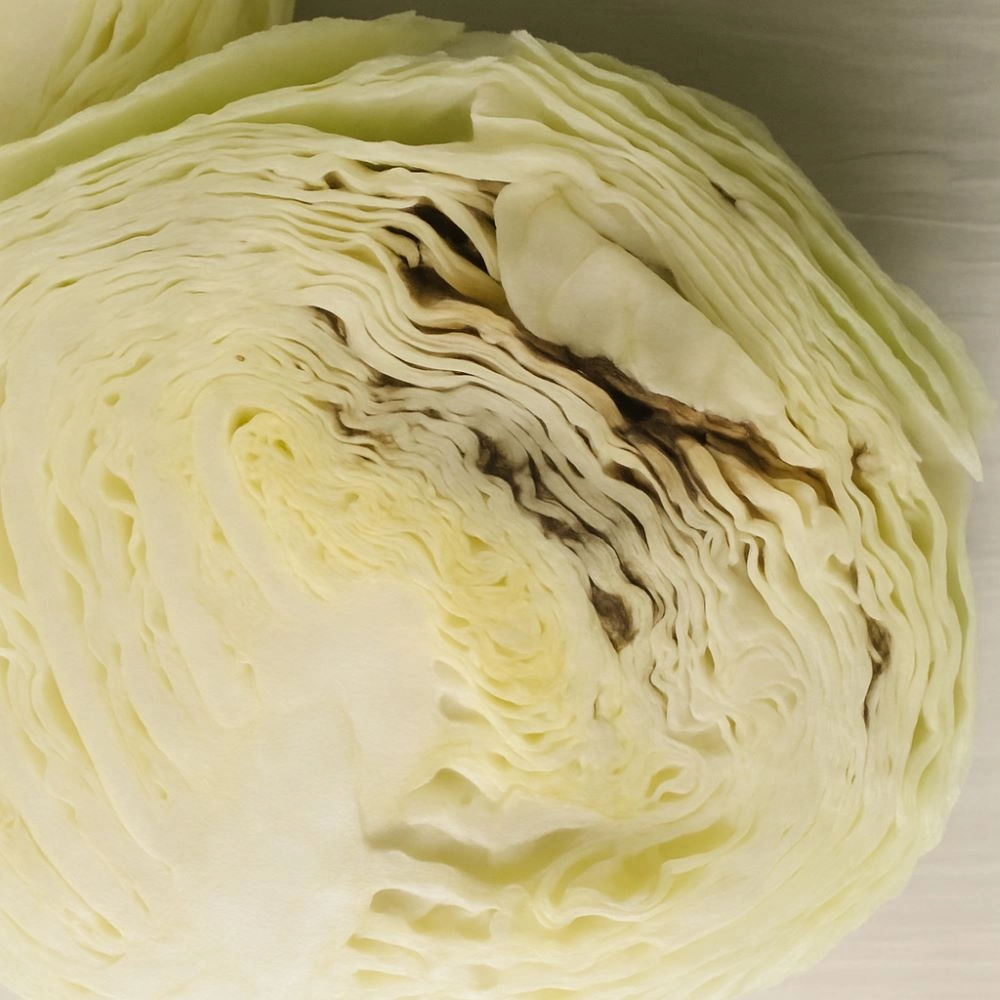 Слоистость капусты  — это известное неинфекционное заболевание.