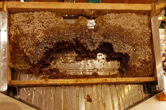 Особое блюдо на завтрак - египетский мед в сотах.