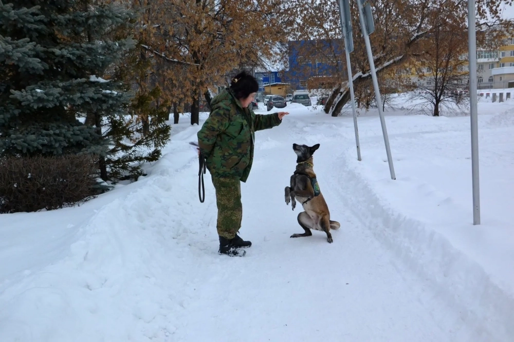 Главное в работе кинолга — терпение и внимательное отношение к собаке.