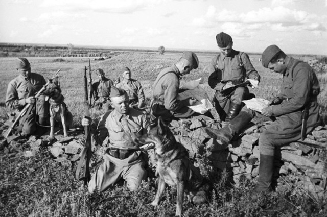 Отряд истребителей танков с собаками, которым подвешивали взрывчатку. Южный фронт. Великая Отечественная война. Летом 1942 года