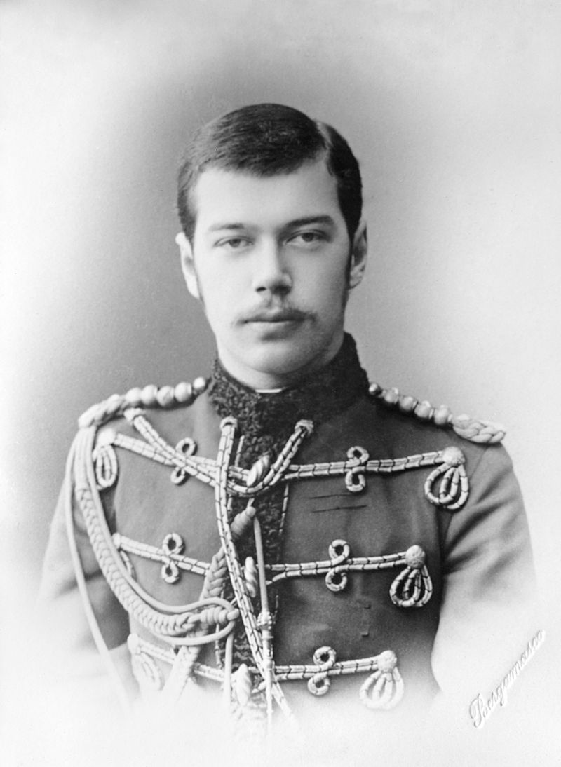 Цесаревич Николай Александрович. 1889 год.